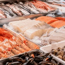 Mayoristas mariscos Sevilla: cómo elegir un proveedor para hostelería y comercio 5 Exposición de pescado y marisco fresco para distribución mayorista en Sevilla